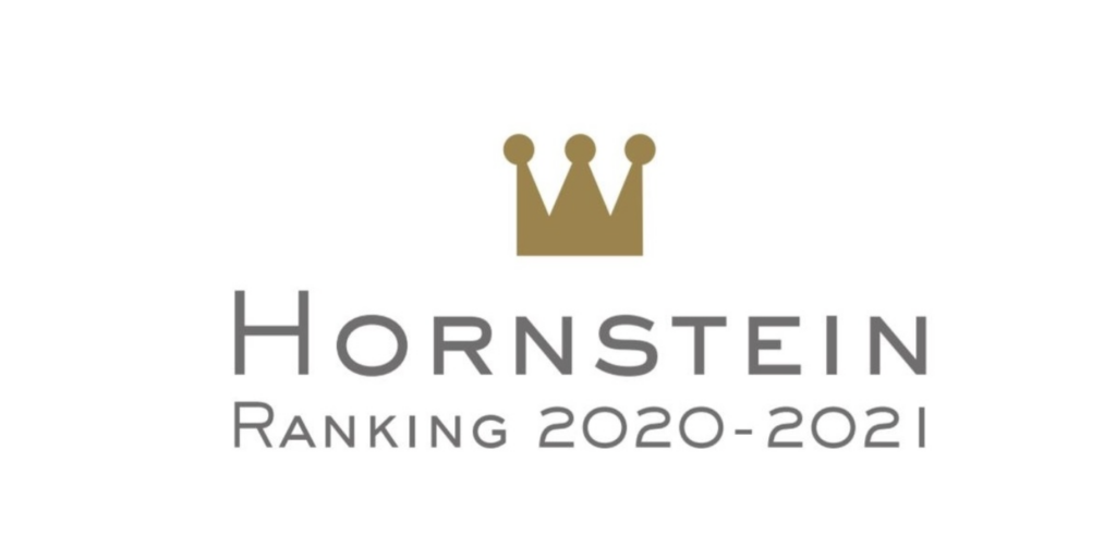 Hornstein-Ranking 2020-2021